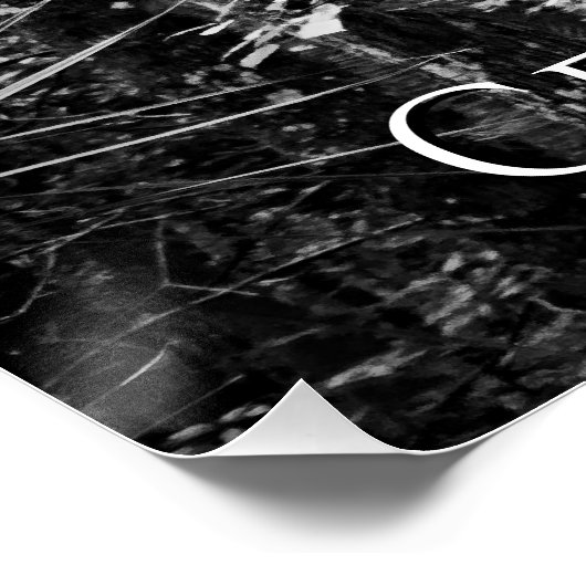 お祝いウィルド ポスター (コーナー)