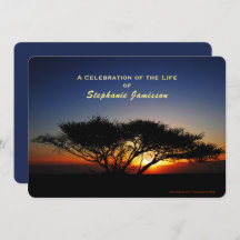 お祝いオブライフ，ローンアカシアツリーアットサンライズ