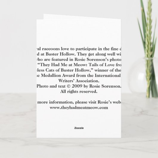 お祝いカード カード (裏面)