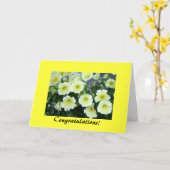 お祝いカード カード (黄色い花)