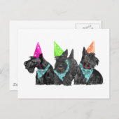 お祝いスコットランドパーティー帽子 ポストカード (正面/裏面)