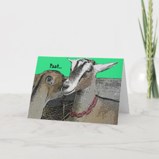 お祝いユーモアあいさつカード カード