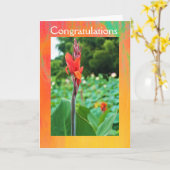 お祝い折り畳みグリーティングカード(Jo Images) カード (黄色い花)