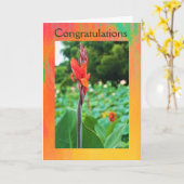 お祝い折り畳みグリーティングカード(Jo Images) カード (黄色い花)