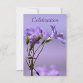 お祝い招待状 招待状 (正面)