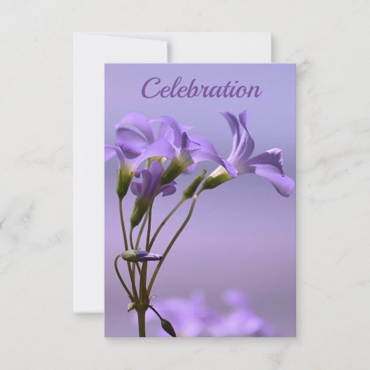 お祝い招待状 招待状 (正面)