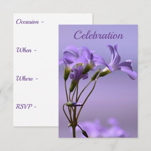 お祝い招待状 招待状 (正面/裏面)