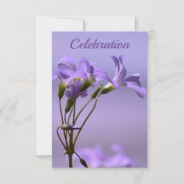 お祝い招待状 招待状