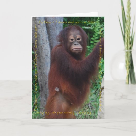 お祝い最高のと願い カード (正面)