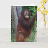 お祝い最高のと願い カード (黄色い花)