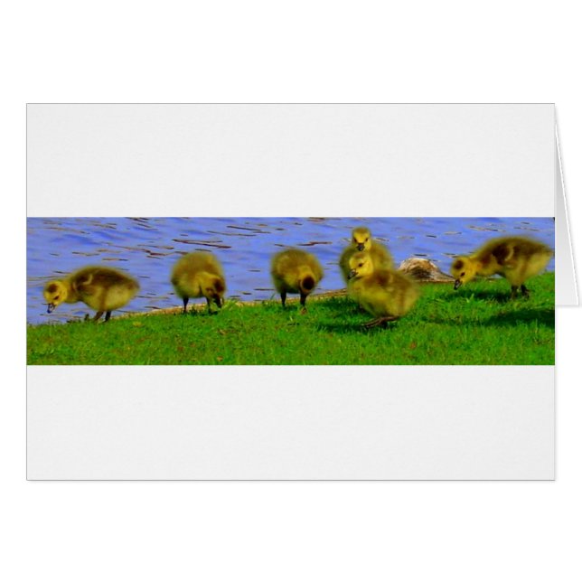 お祝い (正面横)