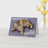 お祝い! あなたは中性化されます! カード (黄色い花)