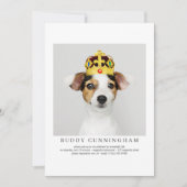 お祝い·オブ·ライフシンプル·エレガント·ペット写真 招待状 (正面)