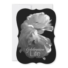 お祝い·オブ·ライフ3ホワイト·ローズ追悼式