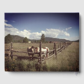 お祝い・オブ・ライフ・ビューティフル・ウマカスタムーズ ゲストブック (裏面)