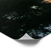 お祝い、フロリダ ポスター (角)