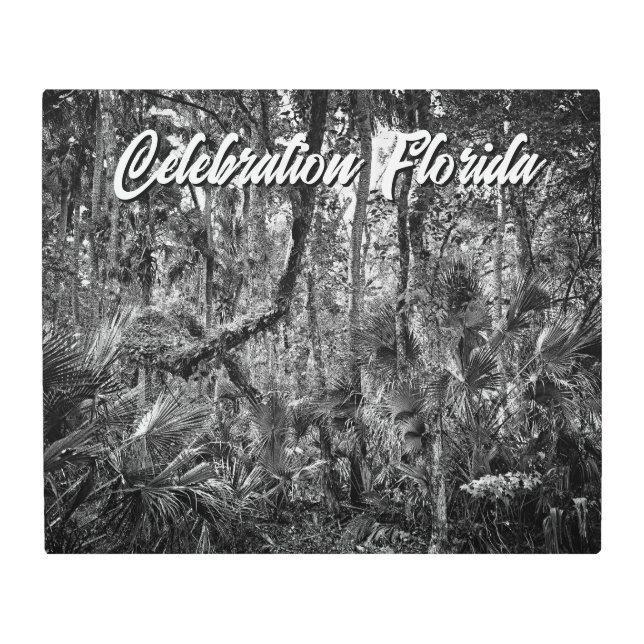 お祝い、フロリダ メタルプリント (正面)