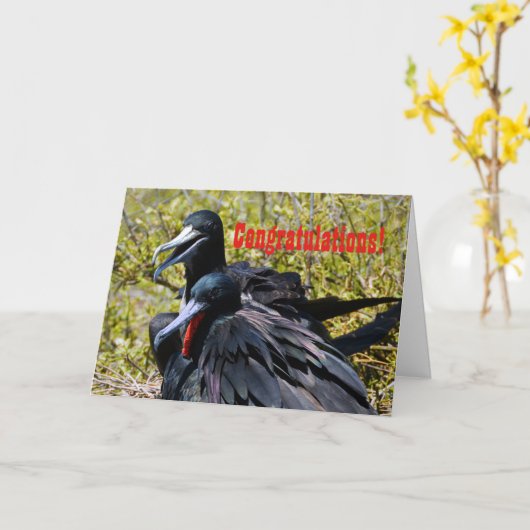 お祝い、愛のFrigatebirds カード (黄色い花)