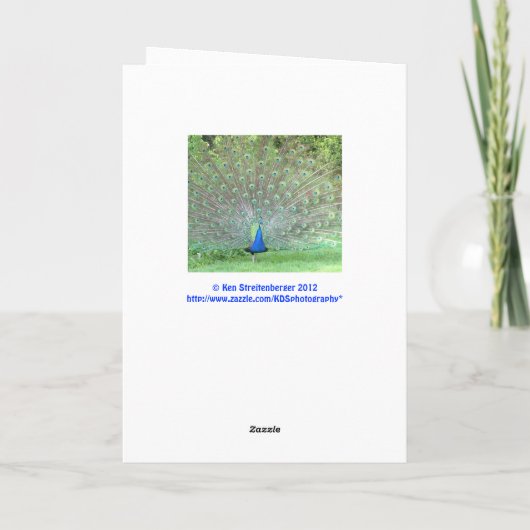 お祝い、"私をPeacocとして誇りを持ったにさせました カード (裏面)