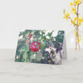 お祝ぶら下がったいカード「s apple」 カード (黄色い花)