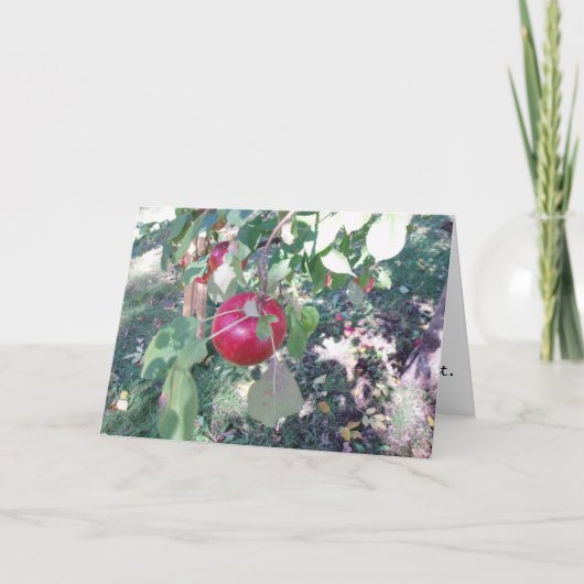 お祝ぶら下がったいカード「s apple」 カード (正面)