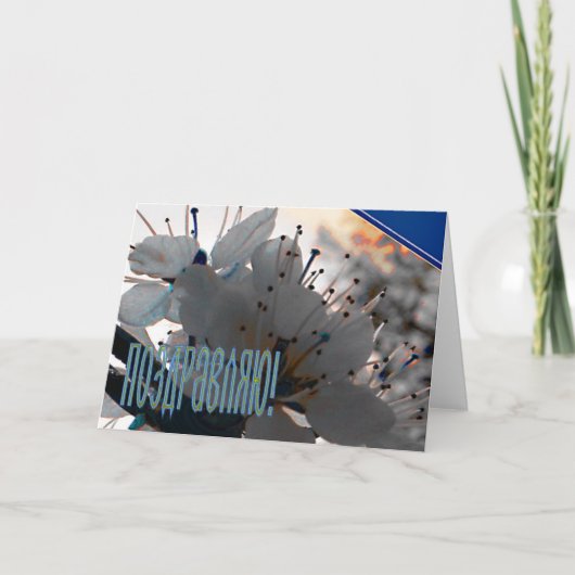 お祝ロシアのいカードとさくらんぼ花 カード (正面)