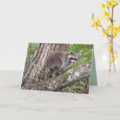 お祝前の誕生日はアライグマのように カード (黄色い花)