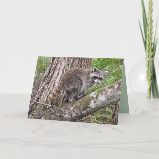 お祝前の誕生日はアライグマのように カード (正面)