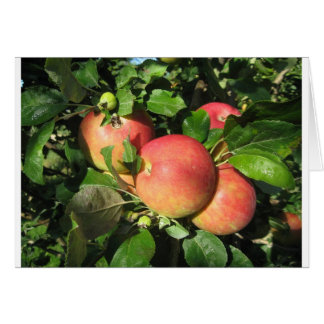 お祭りのりんご