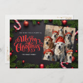 お祭りペット写真クリスマスカード シーズンカード (正面/裏面)