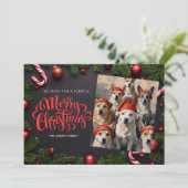 お祭りペット写真クリスマスカード シーズンカード (スタンド正面)