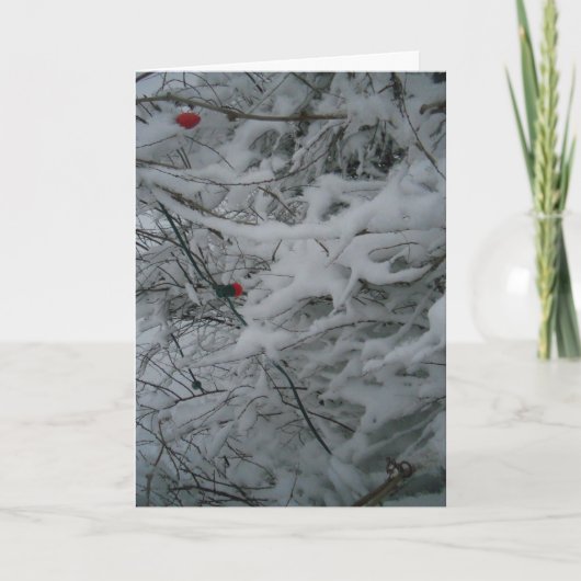 お祭り気分のフワフワクリスマスカード カード (正面)