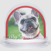 お祭り気分を高めるハートウォーミングな犬の写真 (正面)