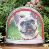 お祭り気分を高めるハートウォーミングな犬の写真