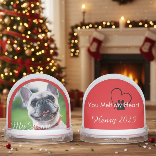 お祭り気分を高めるハートウォーミングな犬の写真