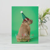 お祭り気分満載!ユーモアたっぷりのペット写真ホリデーカード 招待状 (スタンド正面)