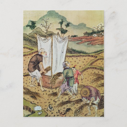 お米の話 ポストカード (正面)