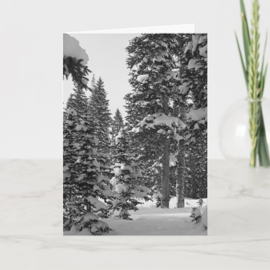 お素晴らし前から聞け！クリスマス後のテンプレート シーズンカード (正面)