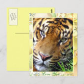 お考える使いのポストカード ポストカード (正面/裏面)