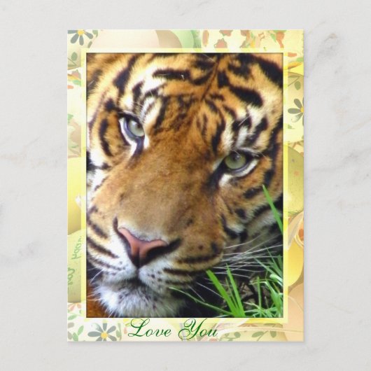 お考える使いのポストカード ポストカード (正面)