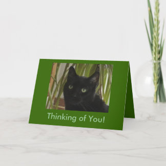 お考える前だ！ カード