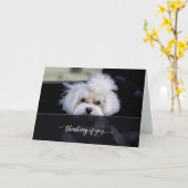 お考える前のカード カード (黄色い花)