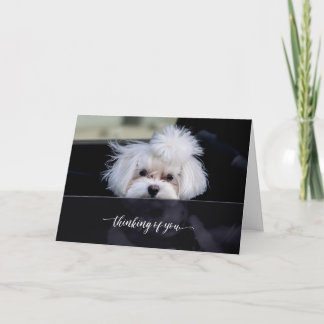 お考える前のカード カード