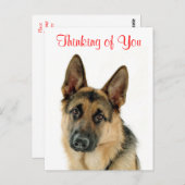 『お考える前のドイツの羊飼い犬のはがき』 ポストカード (正面/裏面)