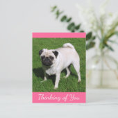 『お考える前の子犬のはがき』 ポストカード (スタンド正面)