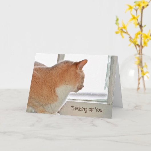 お考える前の猫 カード (黄色い花)