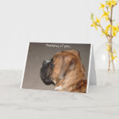 お考える前の カード (黄色い花)