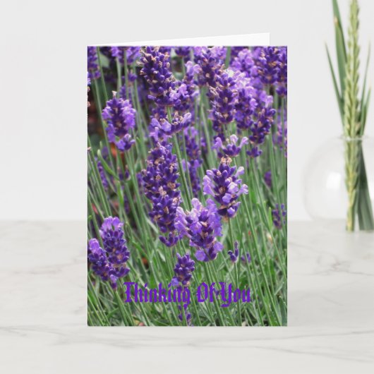 お考える前の カード (正面)