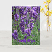 お考える前の カード (黄色い花)