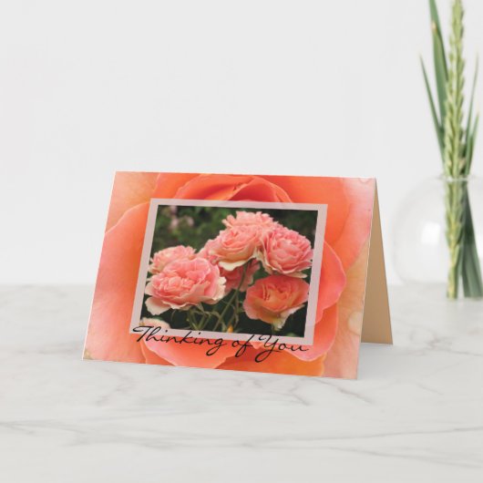 お考える前の カード (正面)